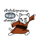 Master Meow（個別スタンプ：20）