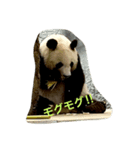 お昼ごはん！（個別スタンプ：1）