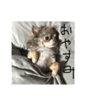 ロイと麦 Part1（個別スタンプ：2）