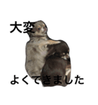 ロイと麦 Part1（個別スタンプ：3）