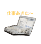 ねこ （こうめとまめた）（個別スタンプ：15）