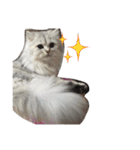 ねこ （こうめとまめた）（個別スタンプ：18）