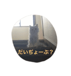 ねこ （こうめとまめた）（個別スタンプ：29）