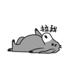I'm Donkey！（個別スタンプ：16）