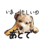 かわいい犬の子（個別スタンプ：2）