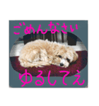 かわいい犬の子（個別スタンプ：9）