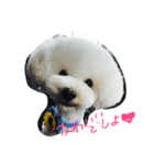 青木龍眼（個別スタンプ：1）