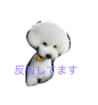 青木龍眼（個別スタンプ：2）