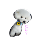 青木龍眼（個別スタンプ：3）