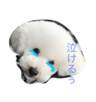 青木龍眼（個別スタンプ：5）