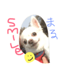 まるちゃんパート1（個別スタンプ：6）
