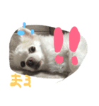 まるちゃんパート1（個別スタンプ：7）