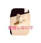 かつどん♂の日常②（個別スタンプ：4）