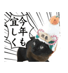 黒猫さんと白猫さん（個別スタンプ：5）