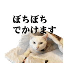 黒猫さんと白猫さん（個別スタンプ：12）