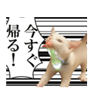 黒猫さんと白猫さん（個別スタンプ：21）