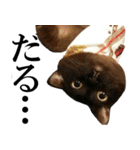黒猫さんと白猫さん（個別スタンプ：22）