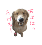 銀平と大和（個別スタンプ：3）