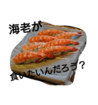 海老とイクラとカッパ（個別スタンプ：6）