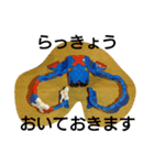 海老とイクラとカッパ（個別スタンプ：7）