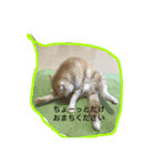 いろのいろいろ（個別スタンプ：4）