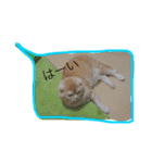 いろのいろいろ（個別スタンプ：5）