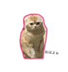 いろのいろいろ（個別スタンプ：12）