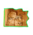 いろのいろいろ（個別スタンプ：15）