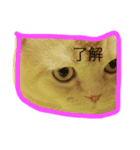 いろのいろいろ（個別スタンプ：16）