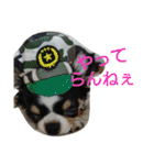 かるびDx（個別スタンプ：4）