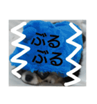 かるびDx（個別スタンプ：12）
