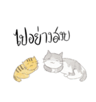 Very playful cats（個別スタンプ：11）