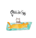 Very playful cats（個別スタンプ：12）