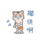bald cat a-han（個別スタンプ：6）