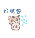 bald cat a-han（個別スタンプ：14）