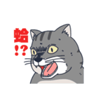A fat cat diary（個別スタンプ：15）