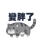 A fat cat diary（個別スタンプ：23）