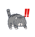 A fat cat diary（個別スタンプ：24）
