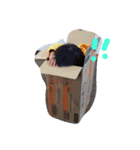 しんのすけとしおり（個別スタンプ：36）