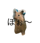 うちの可愛いポムちゃんです（個別スタンプ：6）