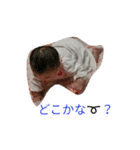 ゆいかさーん？はぁい！パート2（個別スタンプ：20）