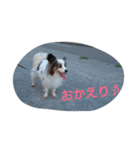 わんちゃん♡（個別スタンプ：4）
