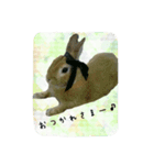 うさぎの実写（日常）（個別スタンプ：3）
