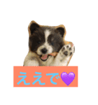 ションben芸者（個別スタンプ：1）