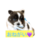 ションben芸者（個別スタンプ：2）
