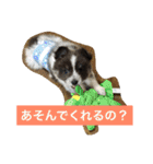 ションben芸者（個別スタンプ：3）
