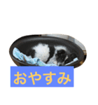 ションben芸者（個別スタンプ：4）