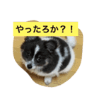ションben芸者（個別スタンプ：6）