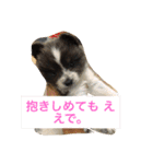 ションben芸者（個別スタンプ：8）