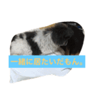 ションben芸者（個別スタンプ：9）